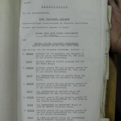 SDC10391
