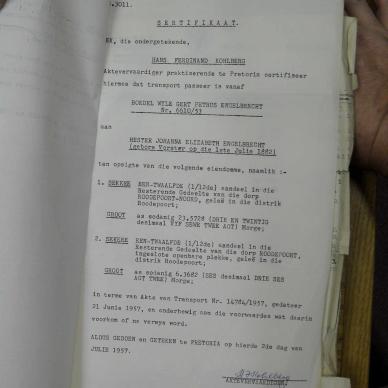 SDC10392