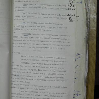 SDC10293