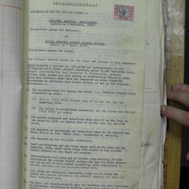 SDC10295
