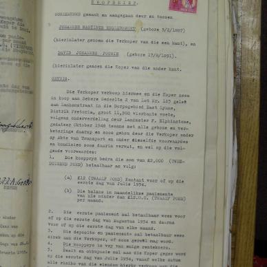 SDC10296