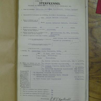 SDC10754