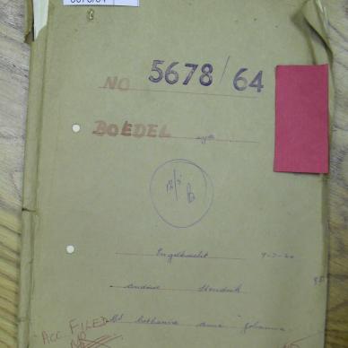 SDC11830
