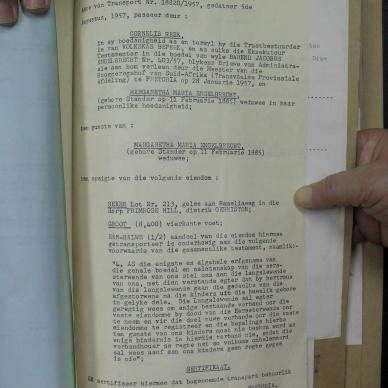 SDC10445