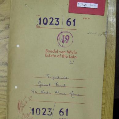 SDC10096