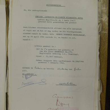 SDC10719