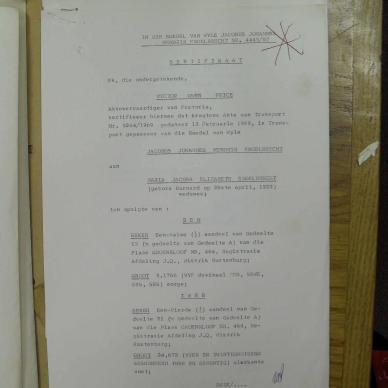 SDC10804