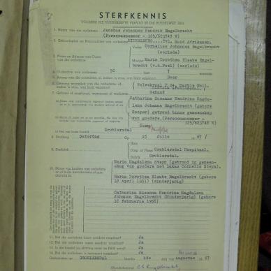 SDC10773