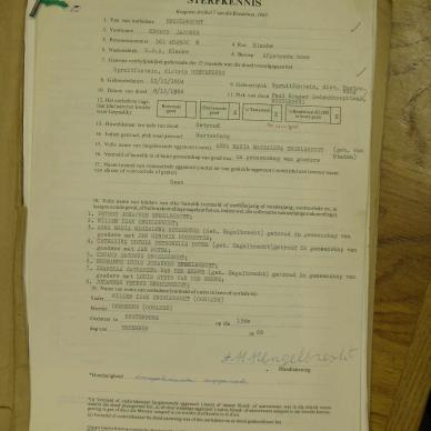 SDC10449