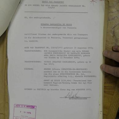 SDC10453