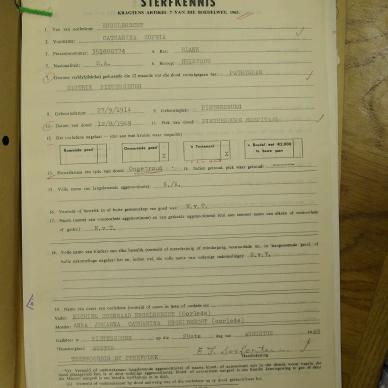 SDC10366