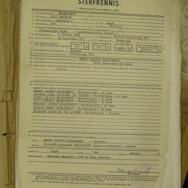 SDC10424