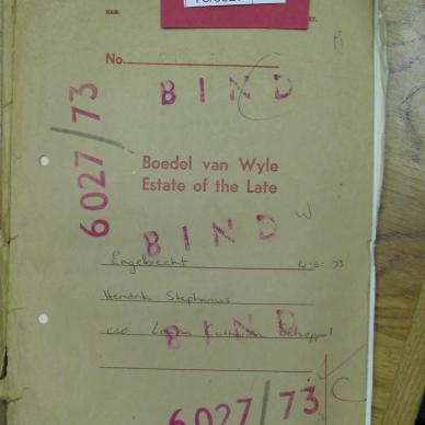 SDC10389