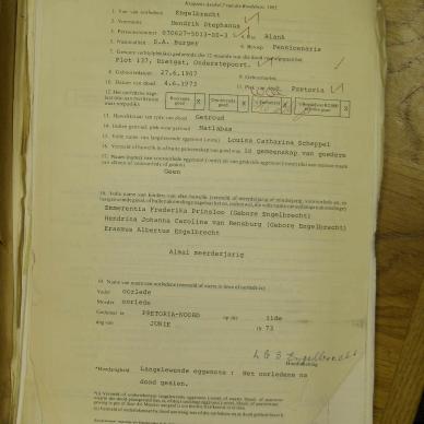 SDC10390