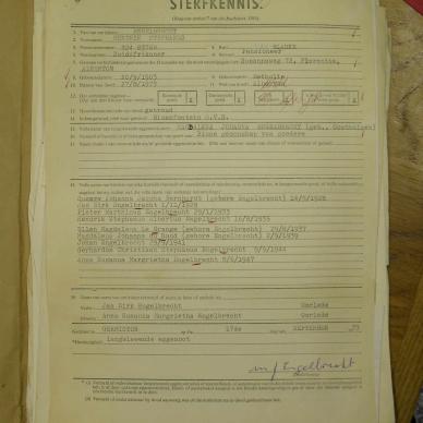 SDC10464