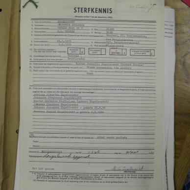 SDC10270