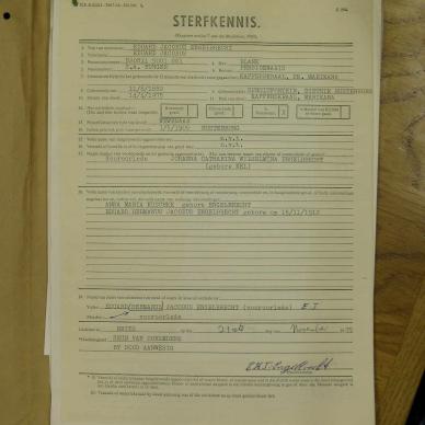 SDC10096