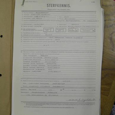SDC10223