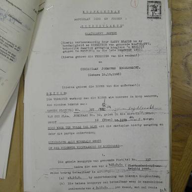 SDC10230