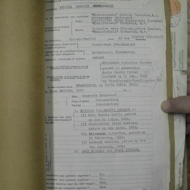 SDC11481