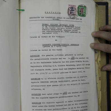 SDC10706