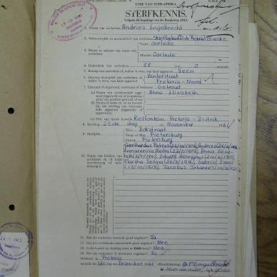 SDC11847