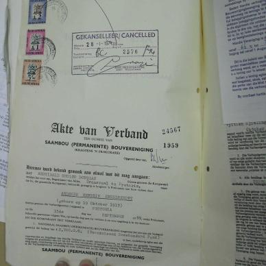 SDC11873