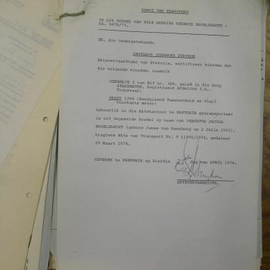 SDC11874