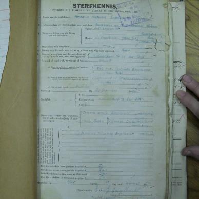 SDC10391