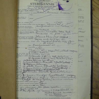 SDC10345