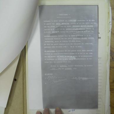 SDC13118