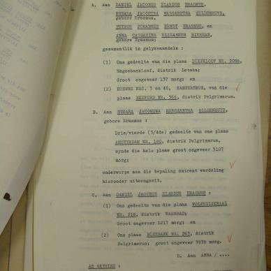 SDC13291