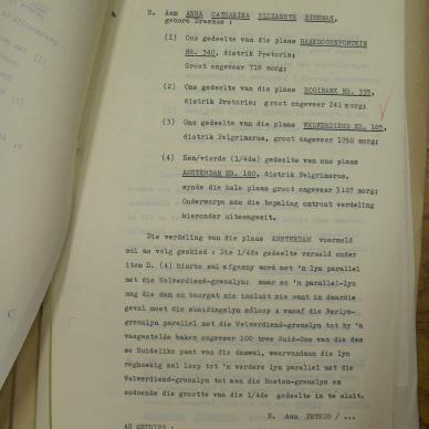SDC13292