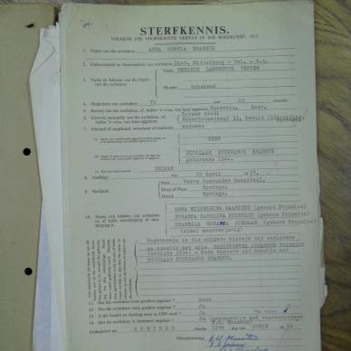 SDC10807