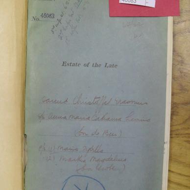 SDC10437