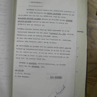 SDC11553