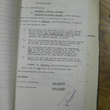 SDC11554