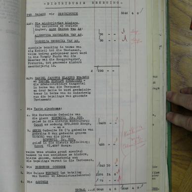 SDC11555