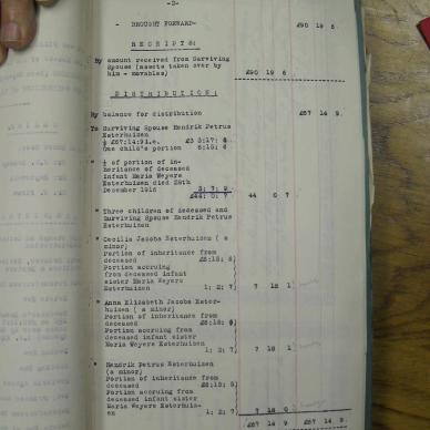 SDC19664