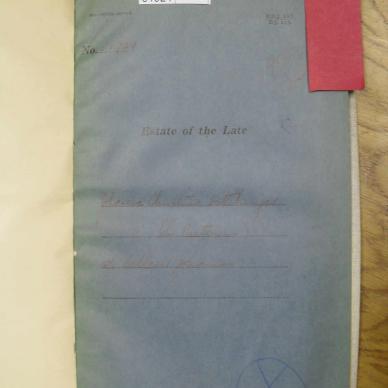 ESTERHUYSE Johanna Christina nee PRETORIUS - oorlede 10 Jun 1923