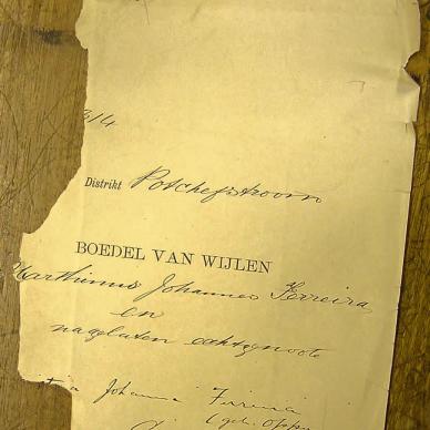 1888 TAB MHG O_04314 FERREIRA MARTHINUS 01