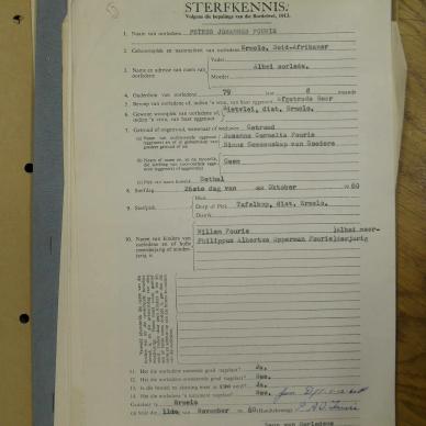 SDC13441