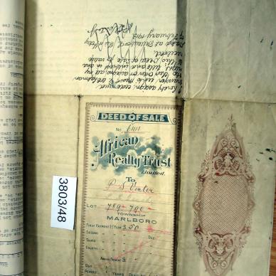 3803-48 GAUCHE Pieter Retief _05