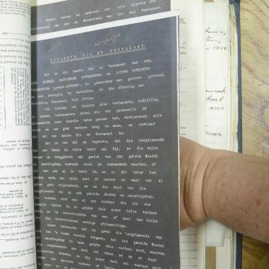 SDC10390