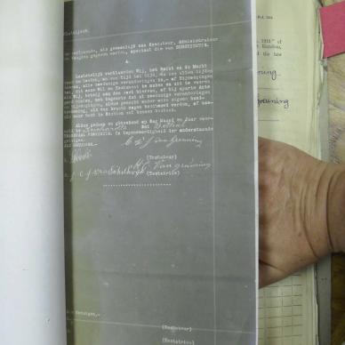 SDC10365