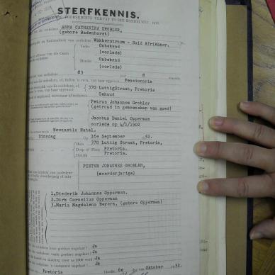 SDC11746