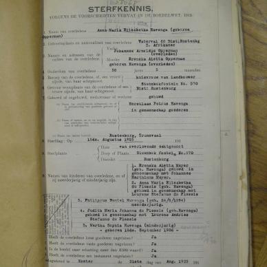 SDC10381