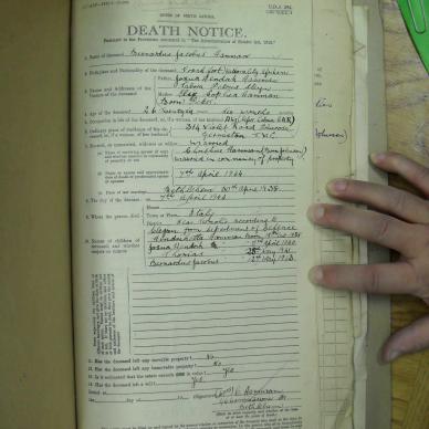 SDC10376