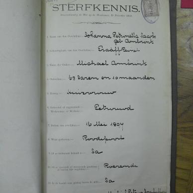 SDC10487