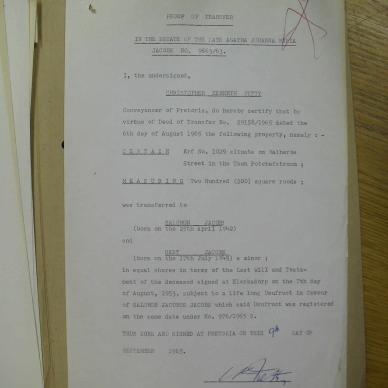 SDC19520